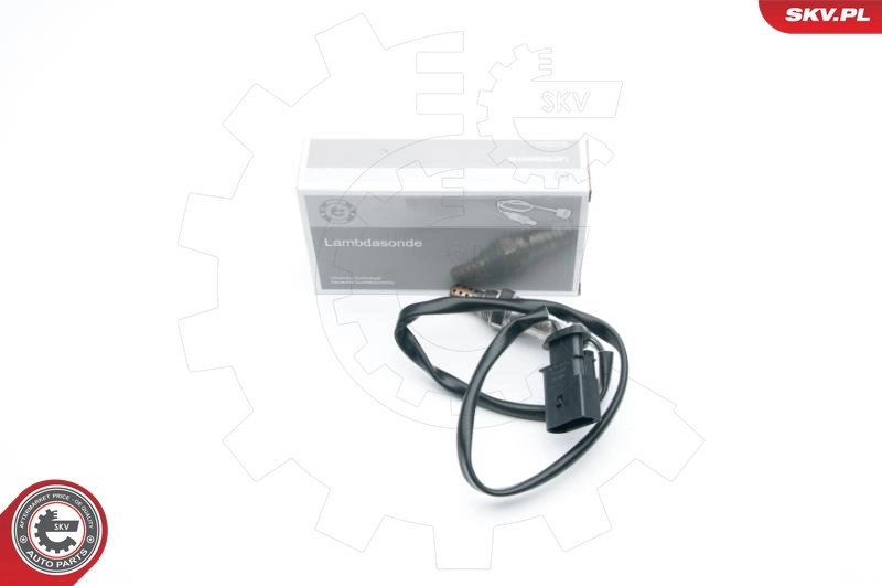 Oxygen Sensor